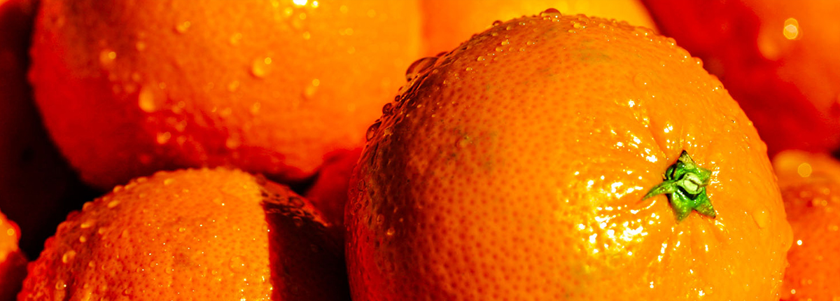 短信轰炸机网页