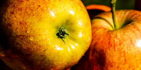 云呼网页版免费试用